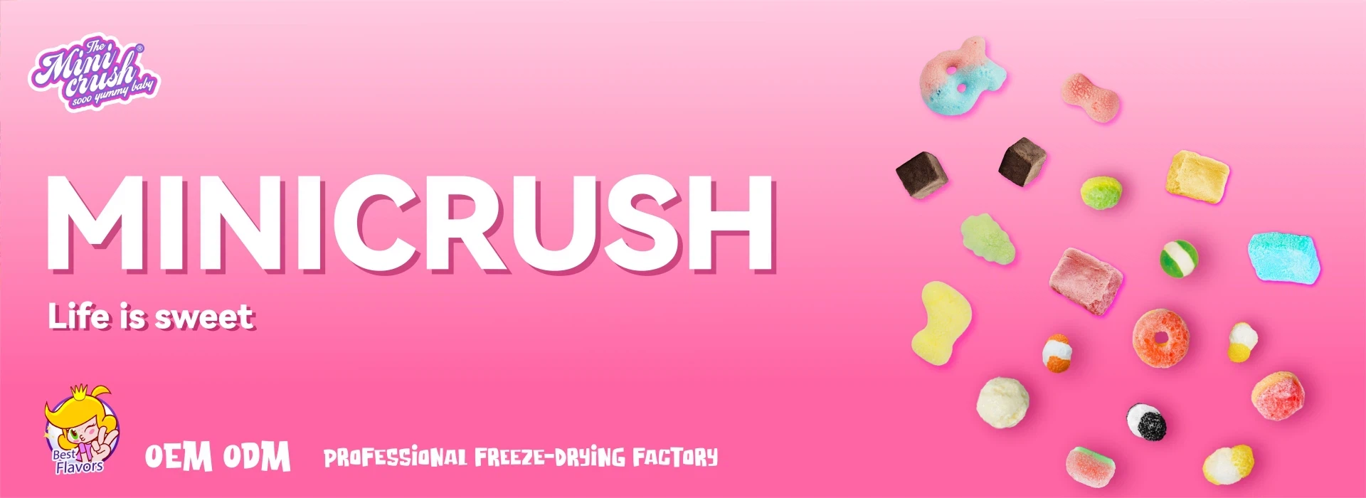 tempting scrumptious freeze dried candy factory